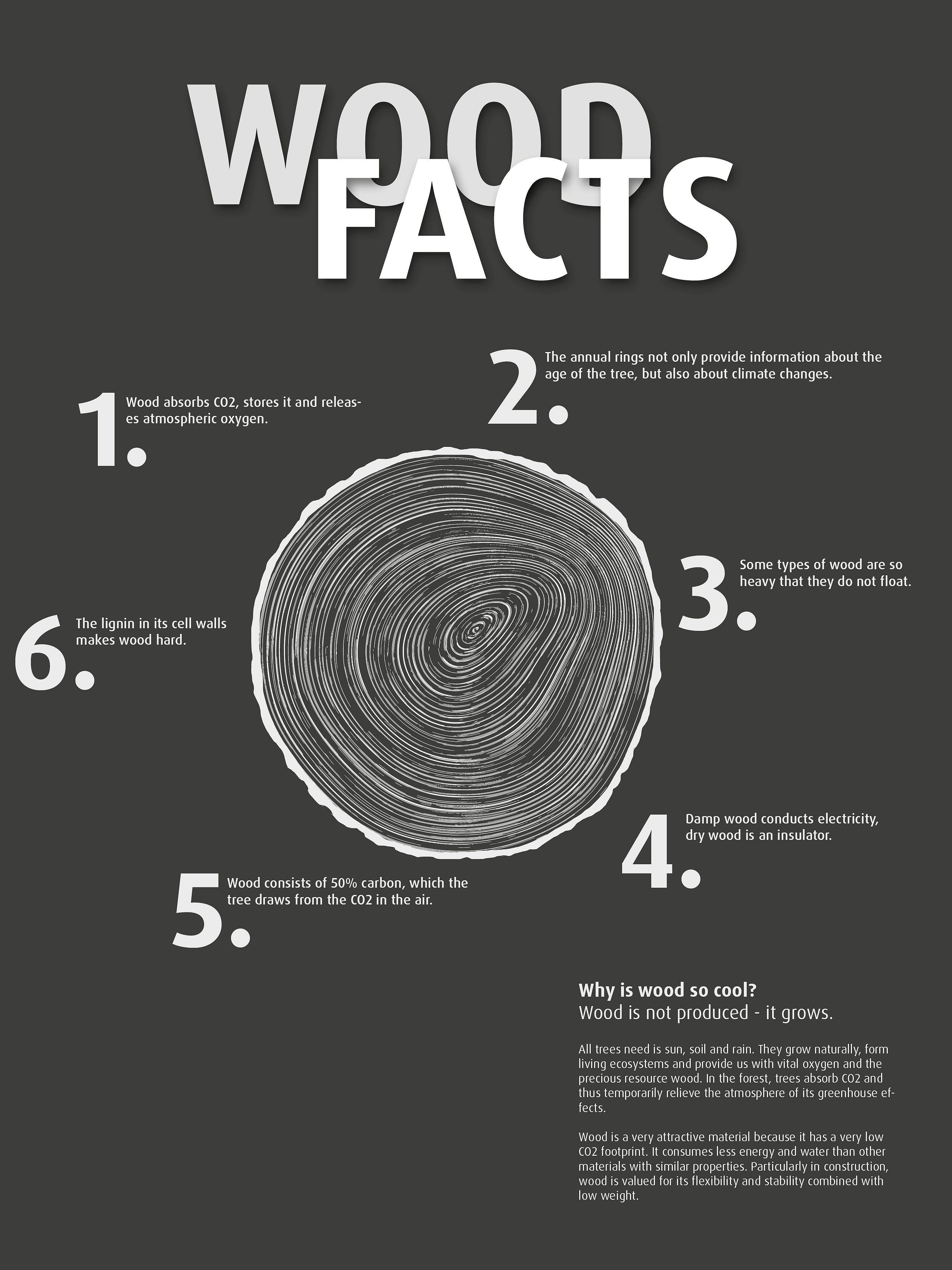 FN Neuhofer-woodfacts